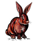 redrabbit6969 (Red Rabbit) free OnlyFans Leaked Pictures & Videos 

 profile picture