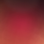toptiertoes OnlyFans Leaked 

 profile picture